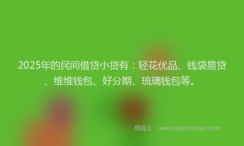 2025年的民间借贷小贷有：轻花优品、钱袋易贷、维维钱包、好分期、琉璃钱包等。