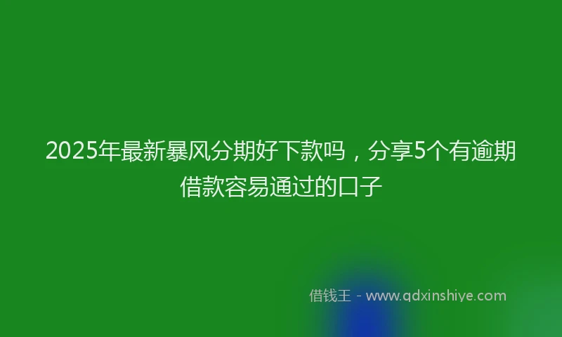 2025年最新暴风分期好下款吗，分享5个有逾期借款容易通过的口子