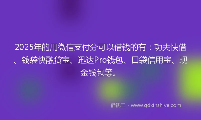 2025年的用微信支付分可以借钱的有：功夫快借、钱袋快融贷宝、迅达Pro钱包、口袋信用宝、现金钱包等。