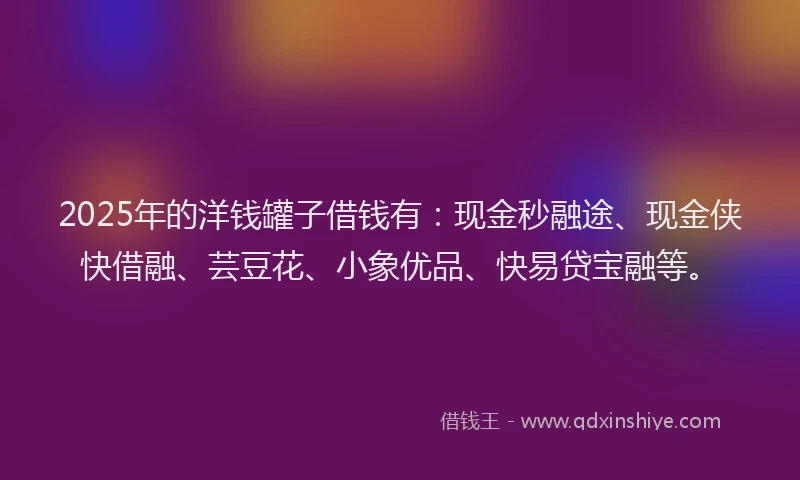2025年的洋钱罐子借钱有：现金秒融途、现金侠快借融、芸豆花、小象优品、快易贷宝融等。