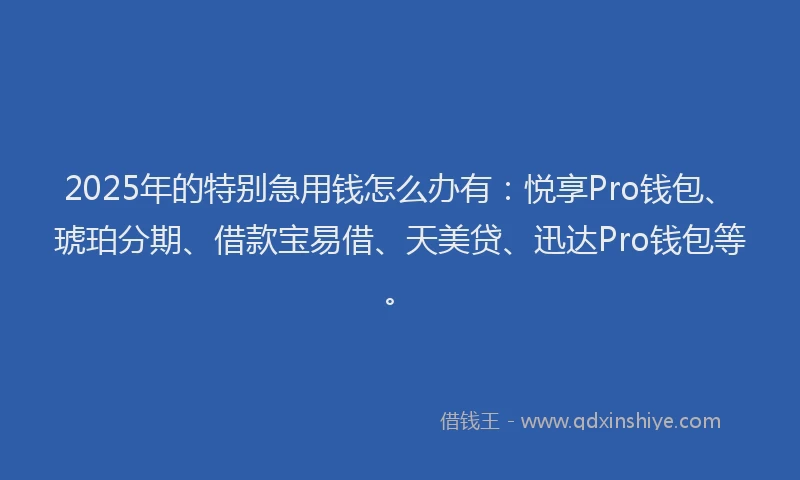 2025年的特别急用钱怎么办有：悦享Pro钱包、琥珀分期、借款宝易借、天美贷、迅达Pro钱包等。