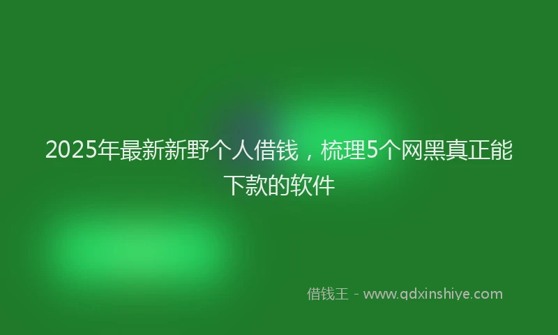 2025年最新新野个人借钱，梳理5个网黑真正能下款的软件