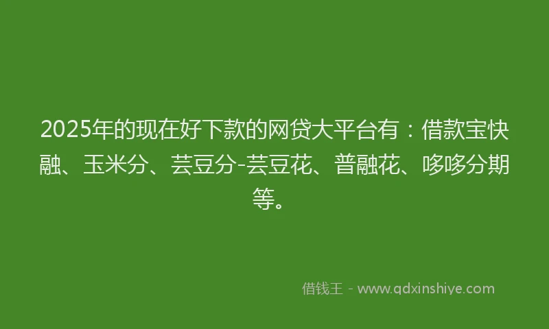 2025年的现在好下款的网贷大平台有：借款宝快融、玉米分、芸豆分-芸豆花、普融花、哆哆分期等。
