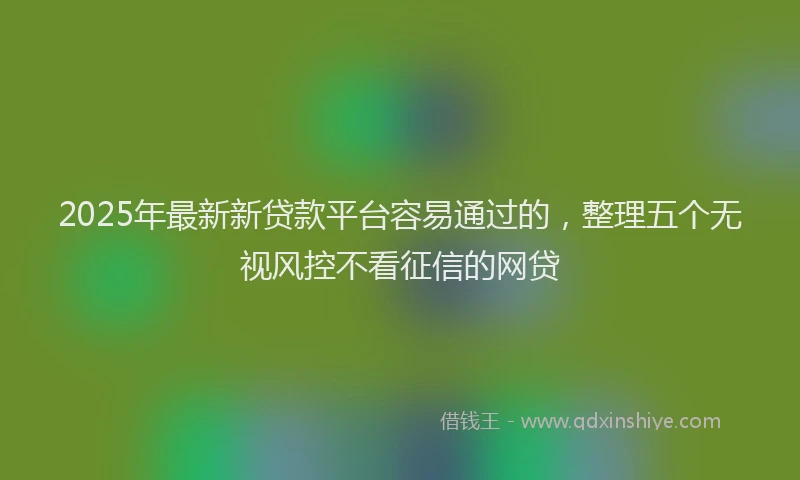 2025年最新新贷款平台容易通过的，整理五个无视风控不看征信的网贷