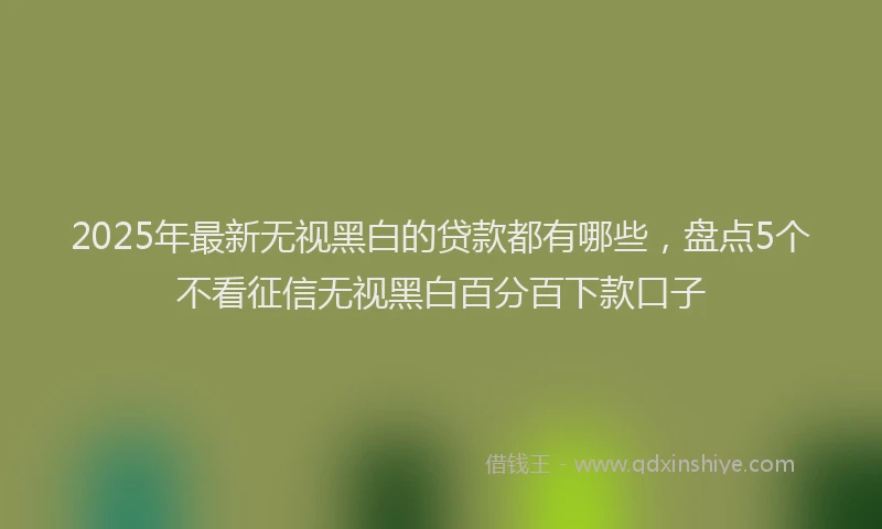2025年最新无视黑白的贷款都有哪些，盘点5个不看征信无视黑白百分百下款口子