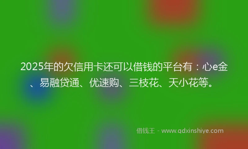 2025年的欠信用卡还可以借钱的平台有：心e金、易融贷通、优速购、三枝花、天小花等。