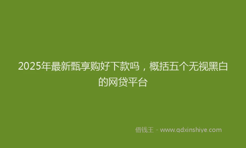 2025年最新甄享购好下款吗，概括五个无视黑白的网贷平台