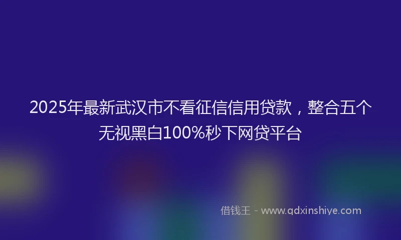 2025年最新武汉市不看征信信用贷款，整合五个无视黑白100%秒下网贷平台