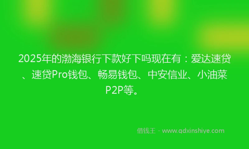 2025年的渤海银行下款好下吗现在有：爱达速贷、速贷Pro钱包、畅易钱包、中安信业、小油菜P2P等。