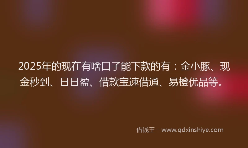 2025年的现在有啥口子能下款的有：金小豚、现金秒到、日日盈、借款宝速借通、易橙优品等。