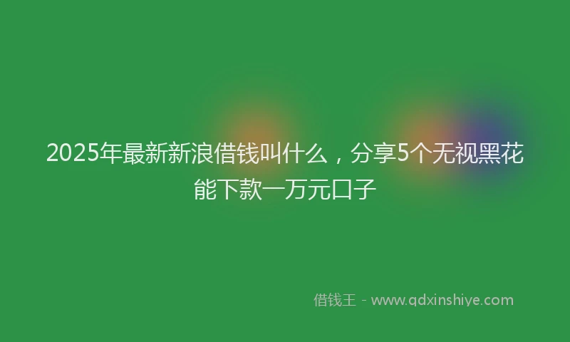 2025年最新新浪借钱叫什么，分享5个无视黑花能下款一万元口子
