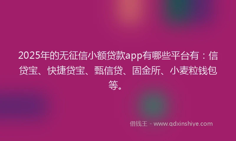 2025年的无征信小额贷款app有哪些平台有：信贷宝、快捷贷宝、甄信贷、固金所、小麦粒钱包等。