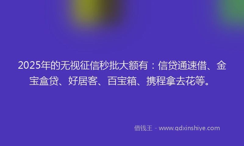 2025年的无视征信秒批大额有：信贷通速借、金宝盒贷、好居客、百宝箱、携程拿去花等。