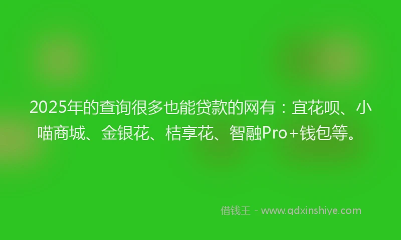 2025年的查询很多也能贷款的网有：宜花呗、小喵商城、金银花、桔享花、智融Pro+钱包等。
