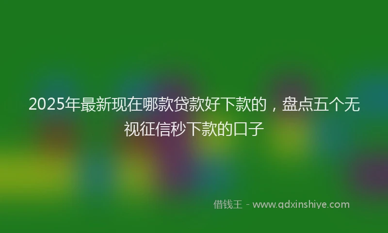 2025年最新现在哪款贷款好下款的，盘点五个无视征信秒下款的口子