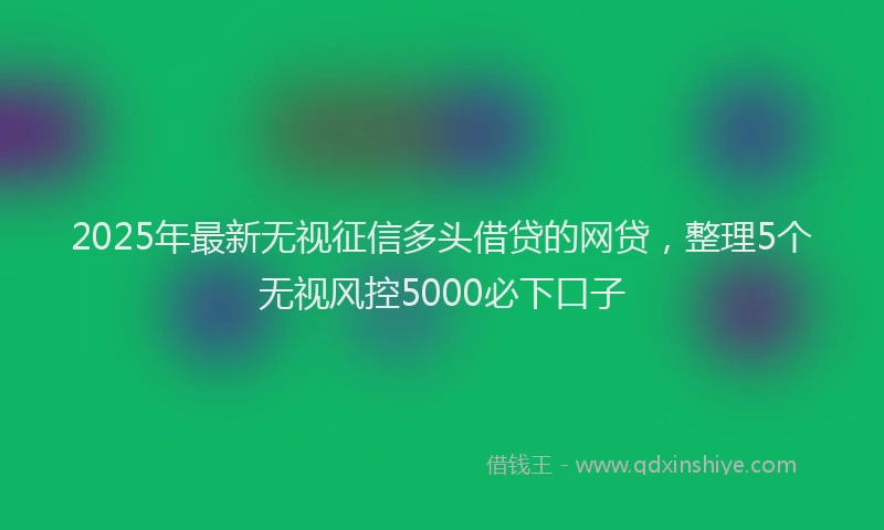 2025年最新无视征信多头借贷的网贷，整理5个无视风控5000必下口子