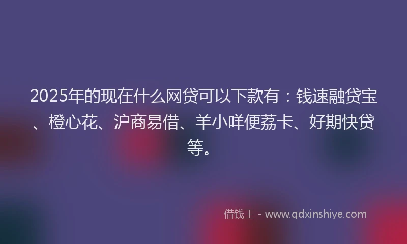 2025年的现在什么网贷可以下款有：钱速融贷宝、橙心花、沪商易借、羊小咩便荔卡、好期快贷等。