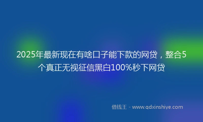 2025年最新现在有啥口子能下款的网贷，整合5个真正无视征信黑白100%秒下网贷