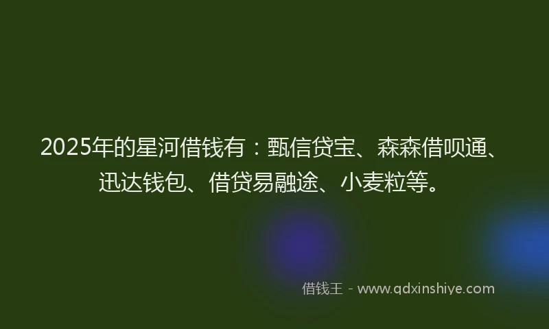 2025年的星河借钱有：甄信贷宝、森森借呗通、迅达钱包、借贷易融途、小麦粒等。