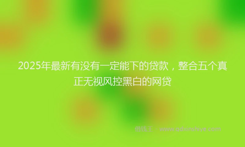 2025年最新有没有一定能下的贷款，整合五个真正无视风控黑白的网贷