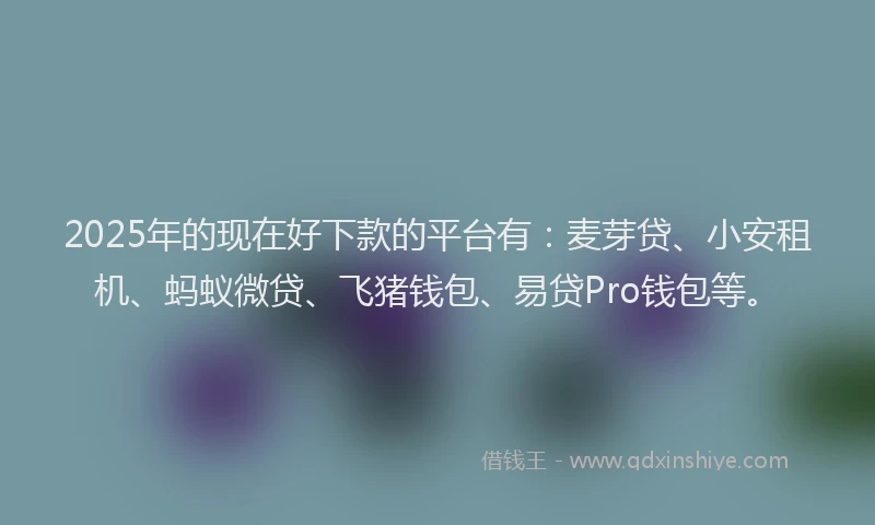 2025年的现在好下款的平台有：麦芽贷、小安租机、蚂蚁微贷、飞猪钱包、易贷Pro钱包等。