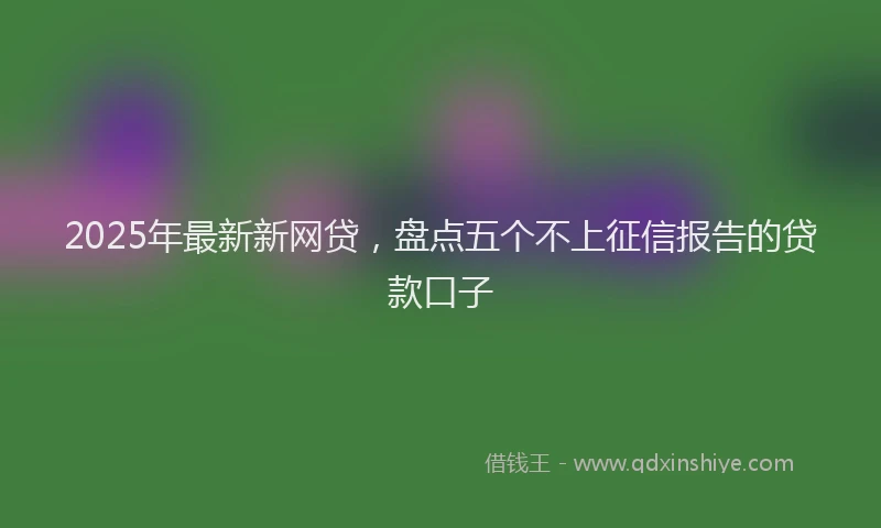 2025年最新新网贷，盘点五个不上征信报告的贷款口子