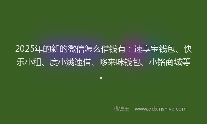 2025年的新的微信怎么借钱有：速享宝钱包、快乐小租、度小满速借、哆来咪钱包、小铭商城等。
