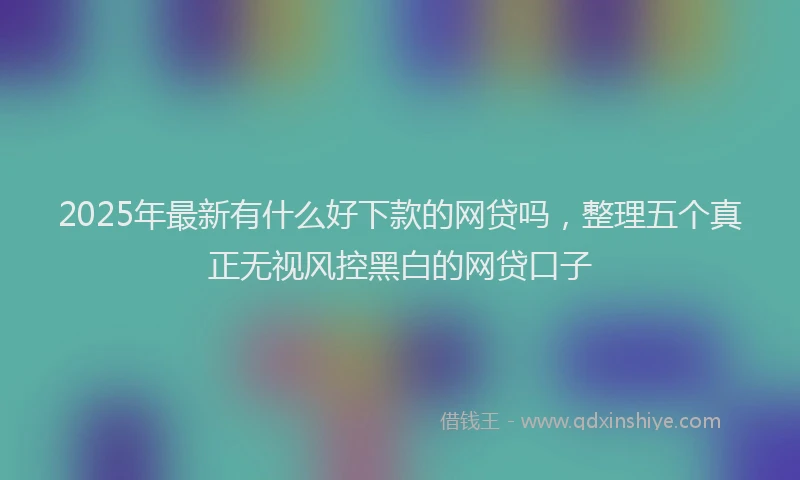 2025年最新有什么好下款的网贷吗，整理五个真正无视风控黑白的网贷口子