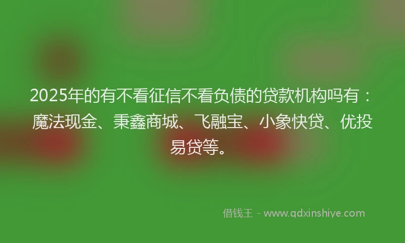 2025年的有不看征信不看负债的贷款机构吗有：魔法现金、秉鑫商城、飞融宝、小象快贷、优投易贷等。