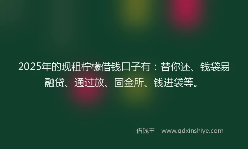 2025年的现租柠檬借钱口子有：替你还、钱袋易融贷、通过放、固金所、钱进袋等。