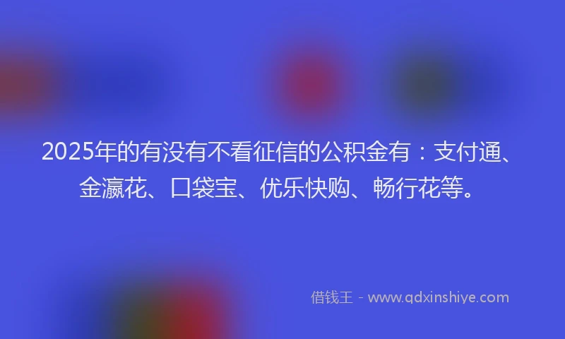 2025年的有没有不看征信的公积金有：支付通、金瀛花、口袋宝、优乐快购、畅行花等。