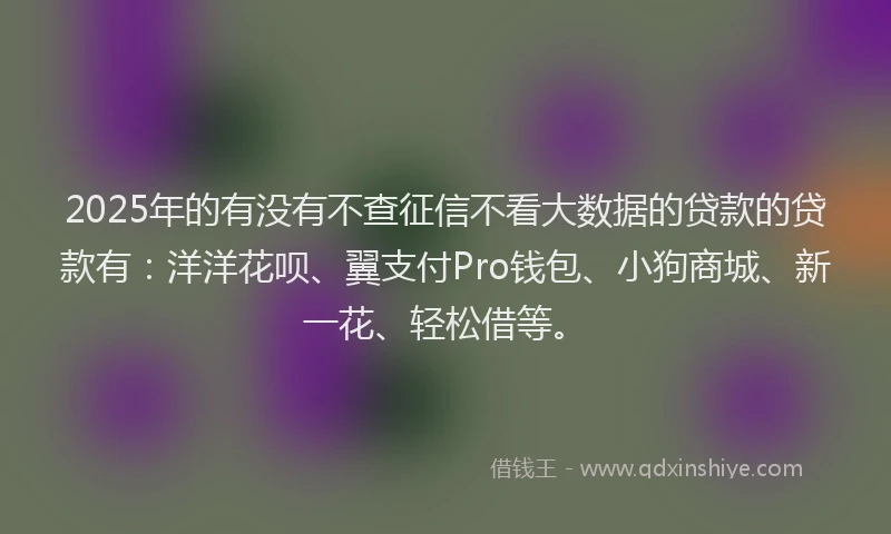 2025年的有没有不查征信不看大数据的贷款的贷款有：洋洋花呗、翼支付Pro钱包、小狗商城、新一花、轻松借等。