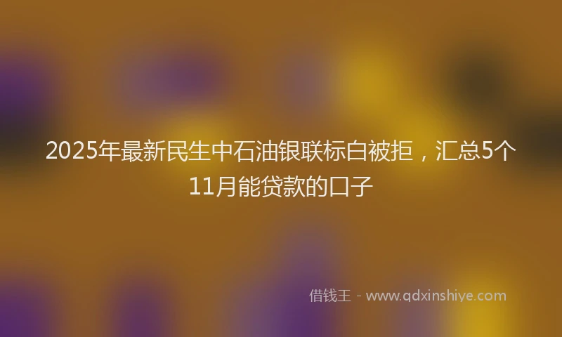 2025年最新民生中石油银联标白被拒，汇总5个11月能贷款的口子