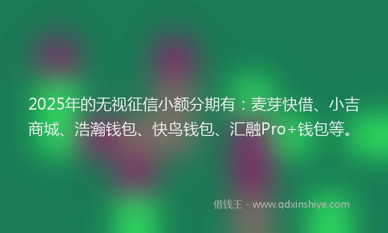 2025年的无视征信小额分期有：麦芽快借、小吉商城、浩瀚钱包、快鸟钱包、汇融Pro+钱包等。