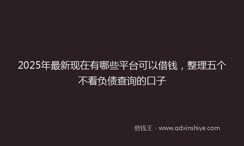 2025年最新现在有哪些平台可以借钱，整理五个不看负债查询的口子
