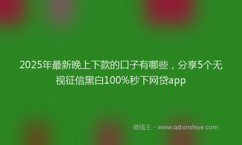 2025年最新晚上下款的口子有哪些，分享5个无视征信黑白100%秒下网贷app