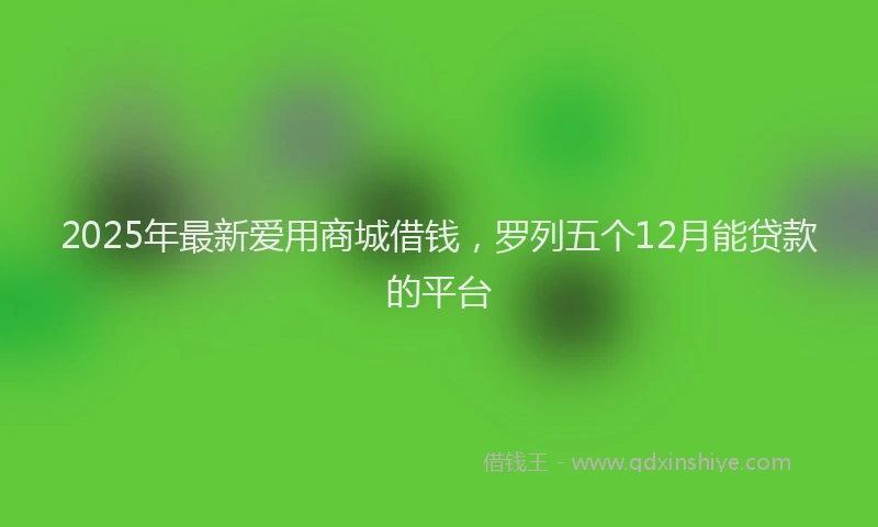 2025年最新爱用商城借钱，罗列五个12月能贷款的平台