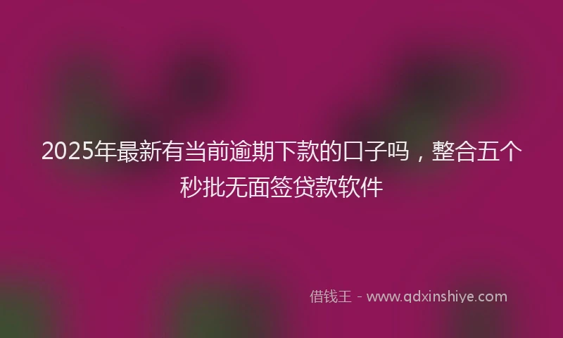 2025年最新有当前逾期下款的口子吗，整合五个秒批无面签贷款软件
