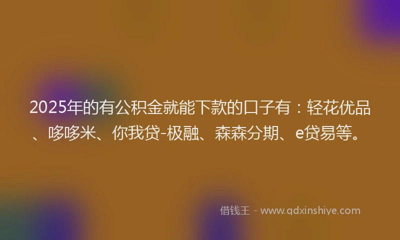 2025年的有公积金就能下款的口子有：轻花优品、哆哆米、你我贷-极融、森森分期、e贷易等。
