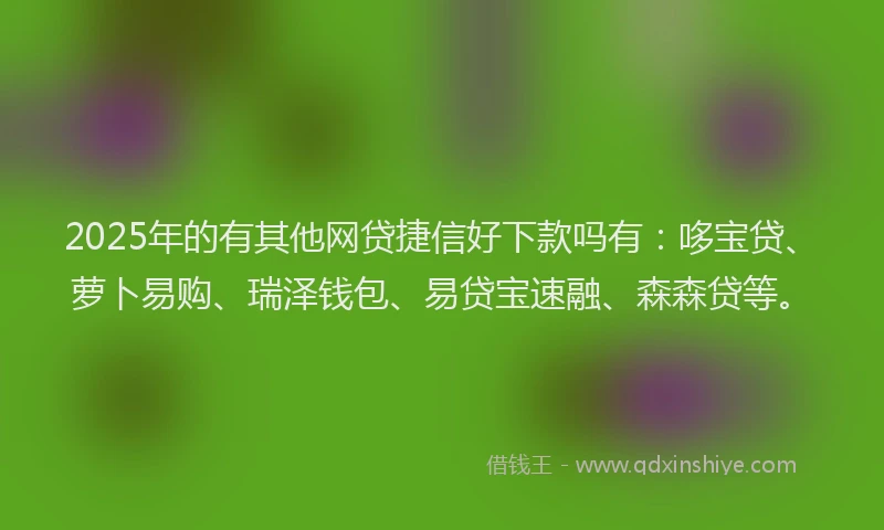 2025年的有其他网贷捷信好下款吗有：哆宝贷、萝卜易购、瑞泽钱包、易贷宝速融、森森贷等。