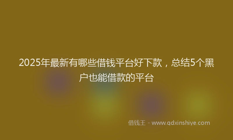 2025年最新有哪些借钱平台好下款，总结5个黑户也能借款的平台