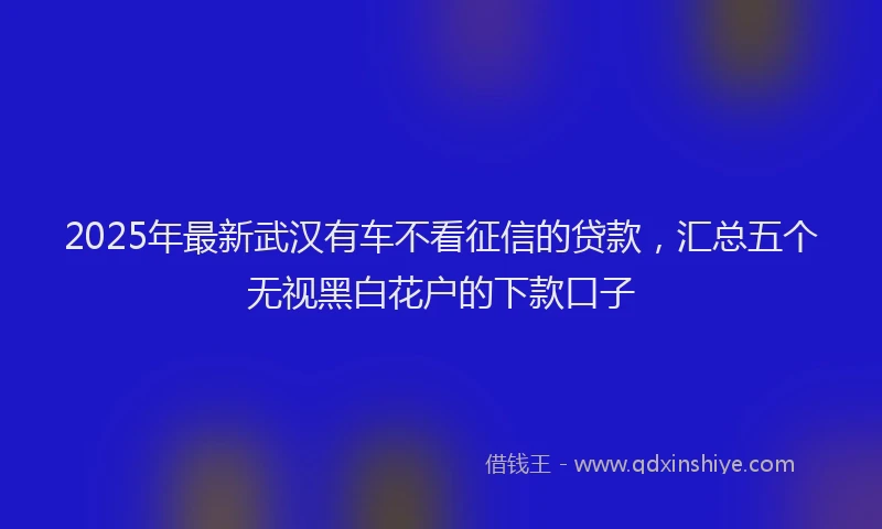 2025年最新武汉有车不看征信的贷款，汇总五个无视黑白花户的下款口子