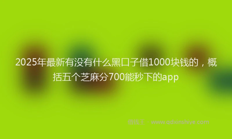 2025年最新有没有什么黑口子借1000块钱的，概括五个芝麻分700能秒下的app