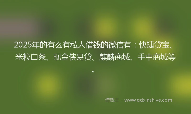 2025年的有么有私人借钱的微信有：快捷贷宝、米粒白条、现金侠易贷、麒麟商城、手中商城等。