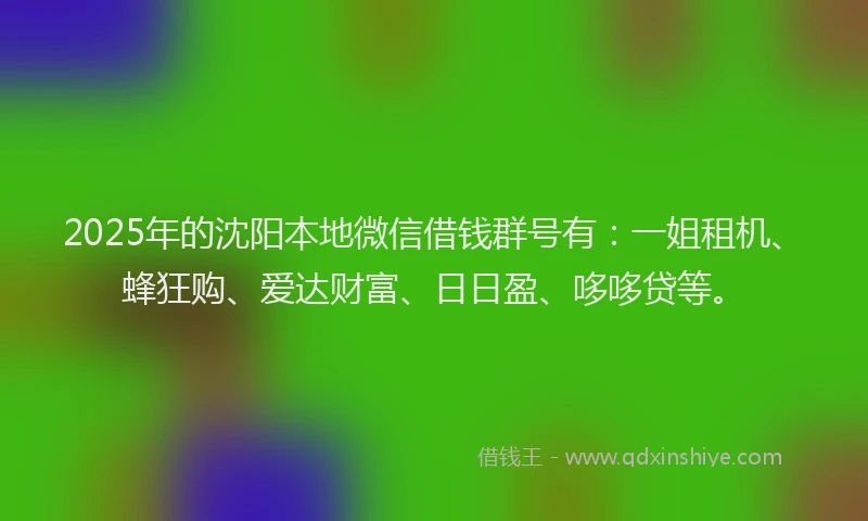2025年的沈阳本地微信借钱群号有：一姐租机、蜂狂购、爱达财富、日日盈、哆哆贷等。