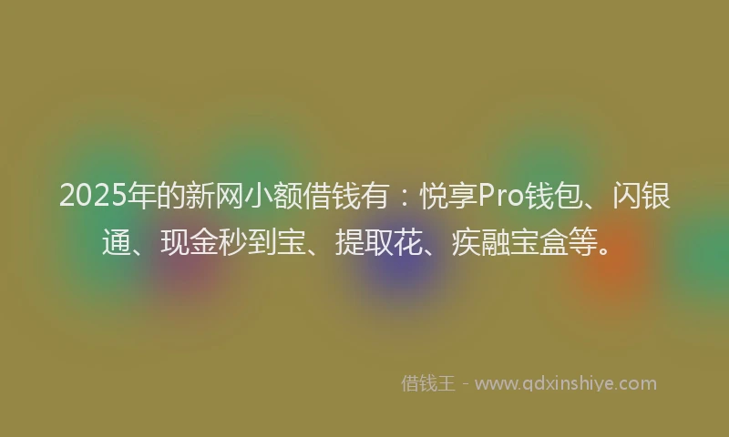 2025年的新网小额借钱有：悦享Pro钱包、闪银通、现金秒到宝、提取花、疾融宝盒等。
