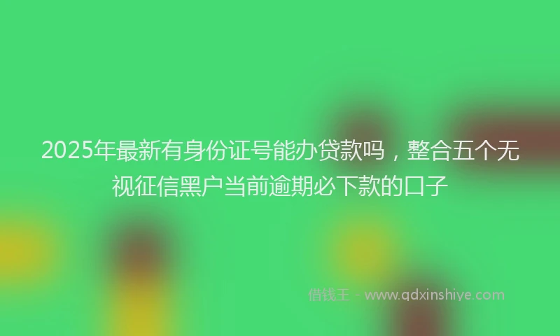 2025年最新有身份证号能办贷款吗，整合五个无视征信黑户当前逾期必下款的口子
