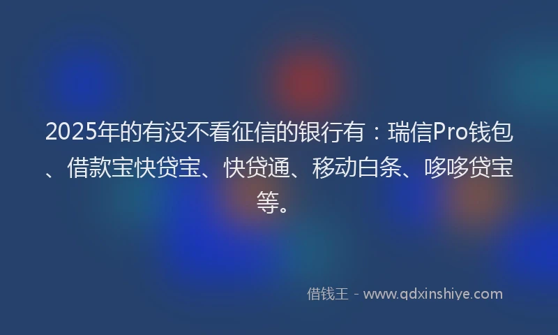 2025年的有没不看征信的银行有：瑞信Pro钱包、借款宝快贷宝、快贷通、移动白条、哆哆贷宝等。