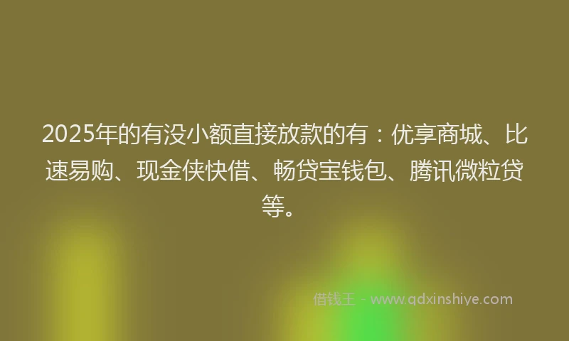 2025年的有没小额直接放款的有：优享商城、比速易购、现金侠快借、畅贷宝钱包、腾讯微粒贷等。