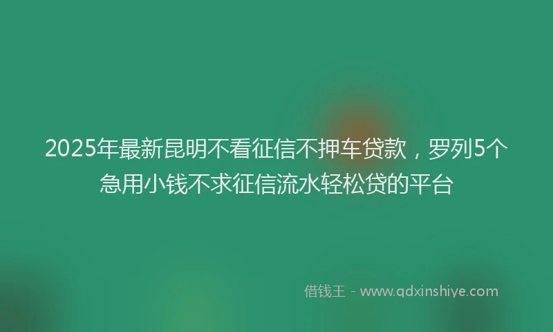 2025年最新昆明不看征信不押车贷款，罗列5个急用小钱不求征信流水轻松贷的平台